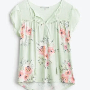 Women's Daniel Rainn Floral Top Size XXL Green Spring Bloomcore